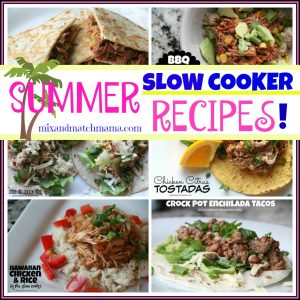 Zojirushi NS-ZCC10 Rice Cooker Summer Slow Cooker Recipes!